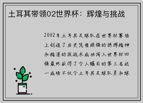 土耳其带领02世界杯：辉煌与挑战